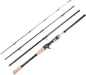 Entsport Fishing Rod for beginners